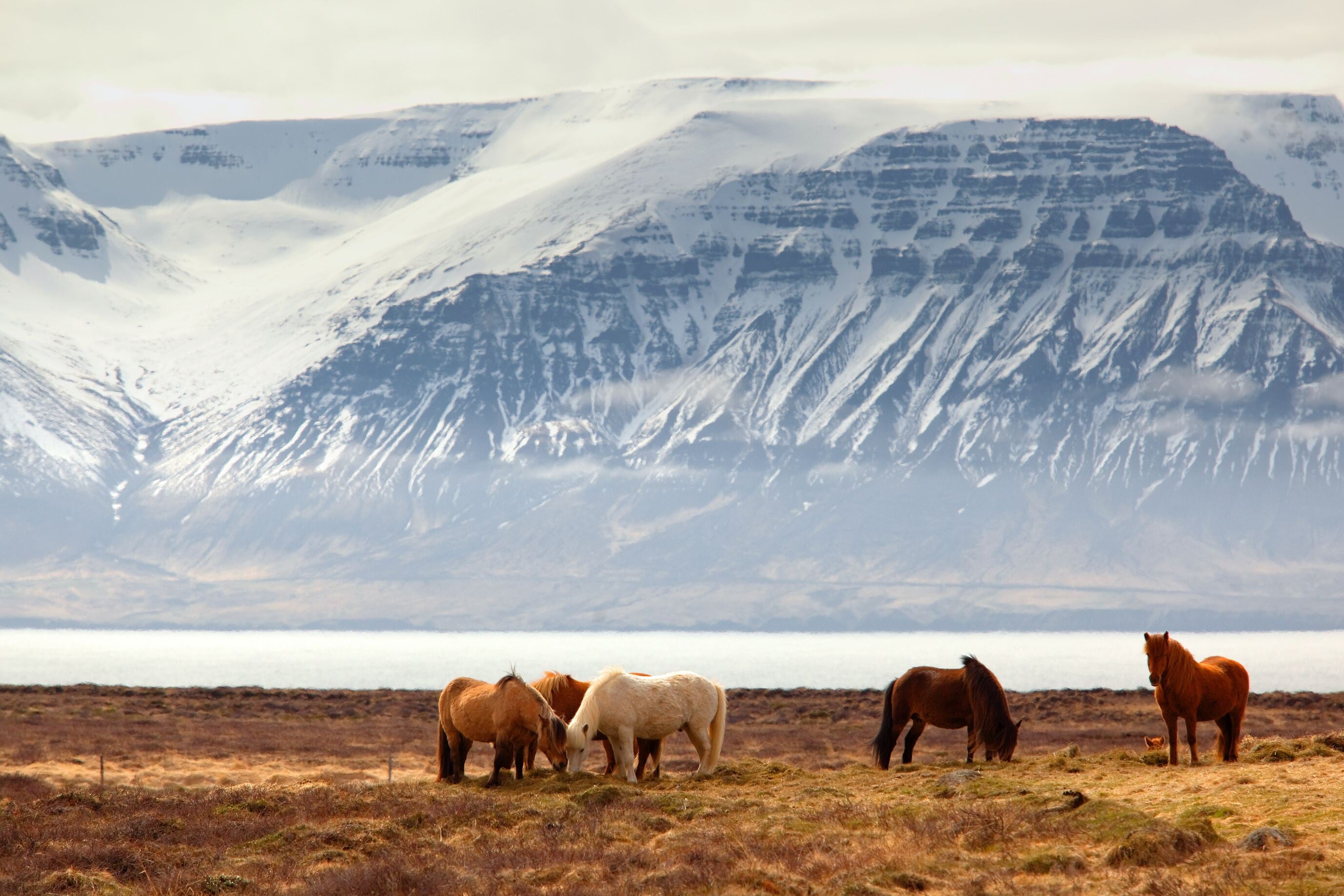 Iceland is a Mysterious Country in Europe